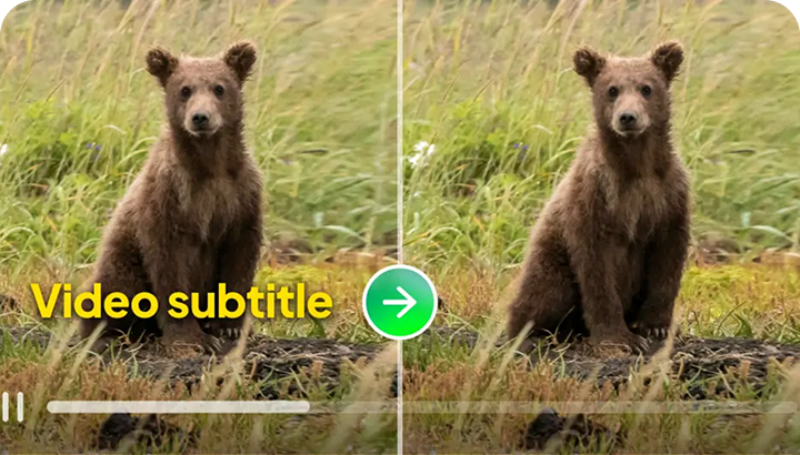 Video Text Removal